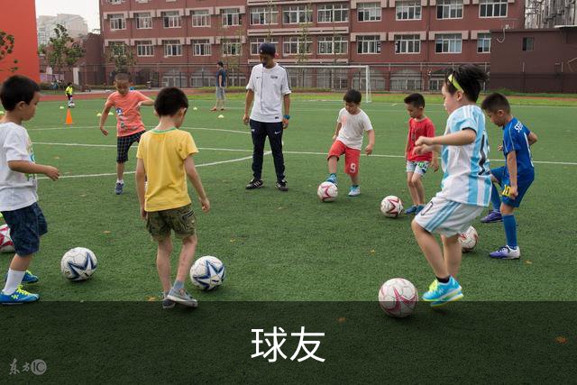 球友公司介绍展示图
